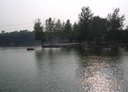 左转1公里即到(下车后约走30分钟),在黄河大堤上烧烤,黄河边有渔家卖