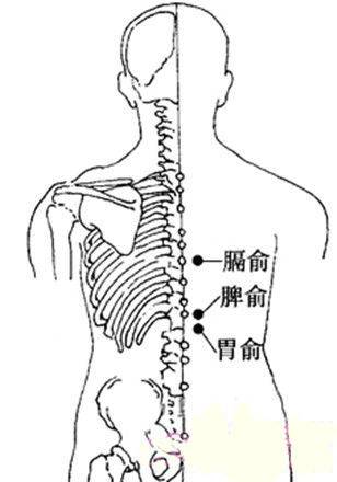膈俞:位在肩胛骨和脊椎骨之间,呈左右对称之势
