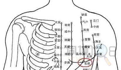 乳根:乳房邊緣部位