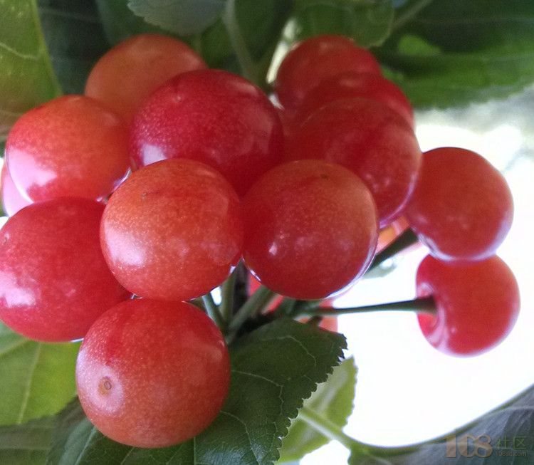 [嵊州市]嵊州市天漫农庄